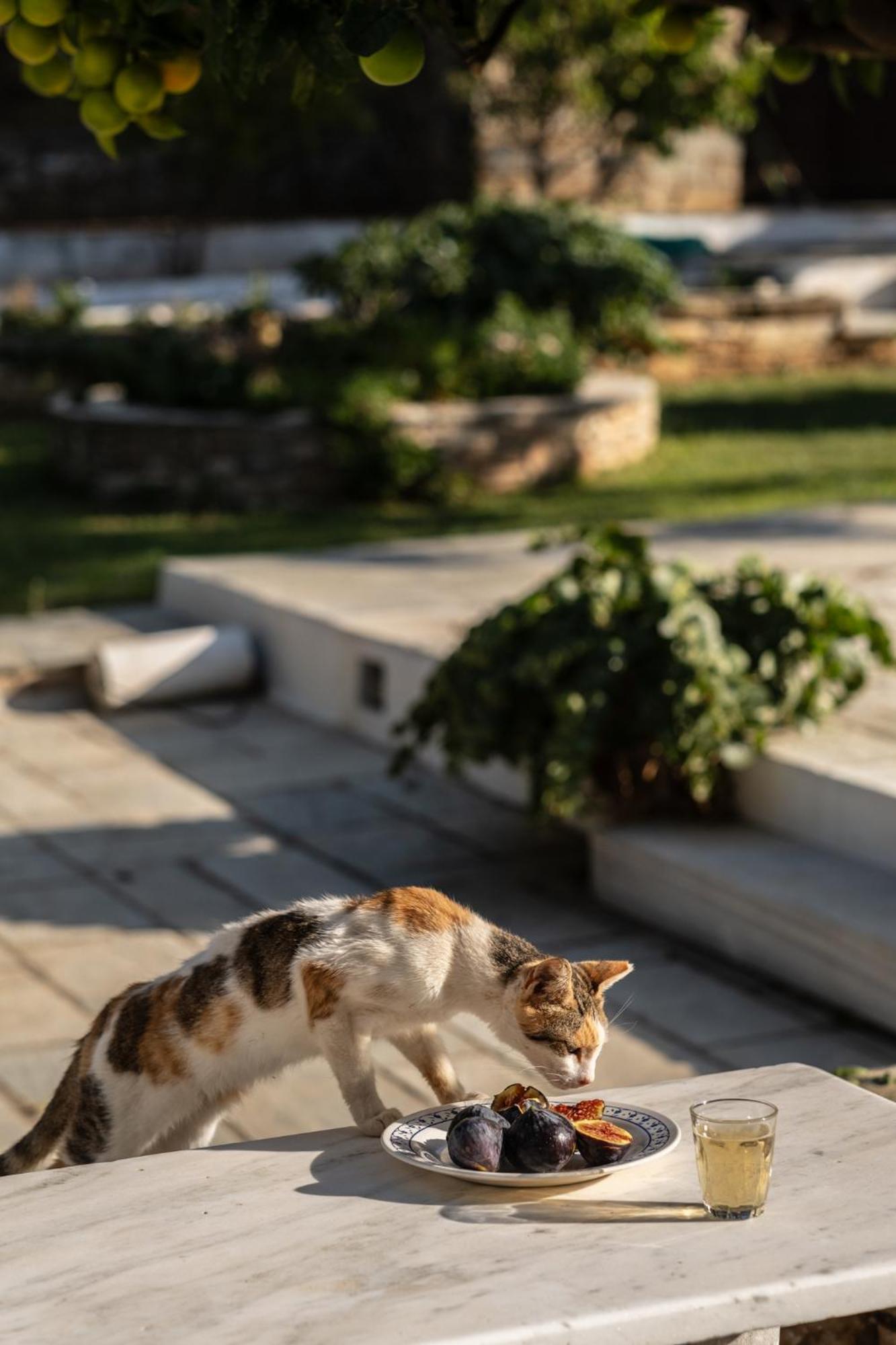 Romano garden house Agios Romanos Buitenkant foto
