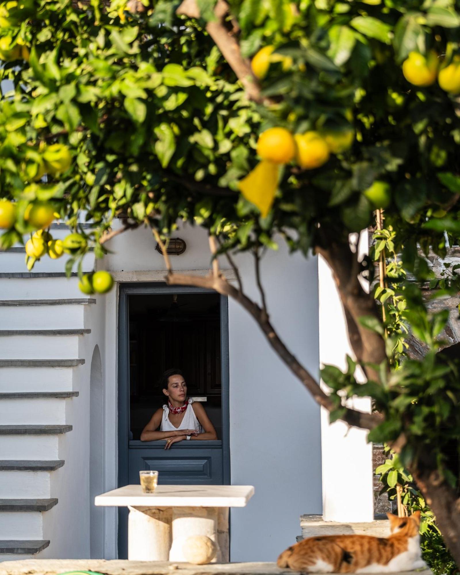 Romano garden house Agios Romanos Buitenkant foto
